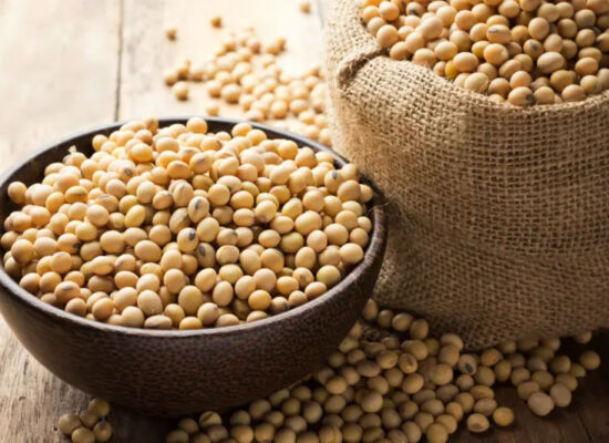 Non-GMO Là Gì? Vì Sao Đậu Nành Non-GMO Là Tiêu Chuẩn Vàng Của Sức Khỏe Bền Vững?