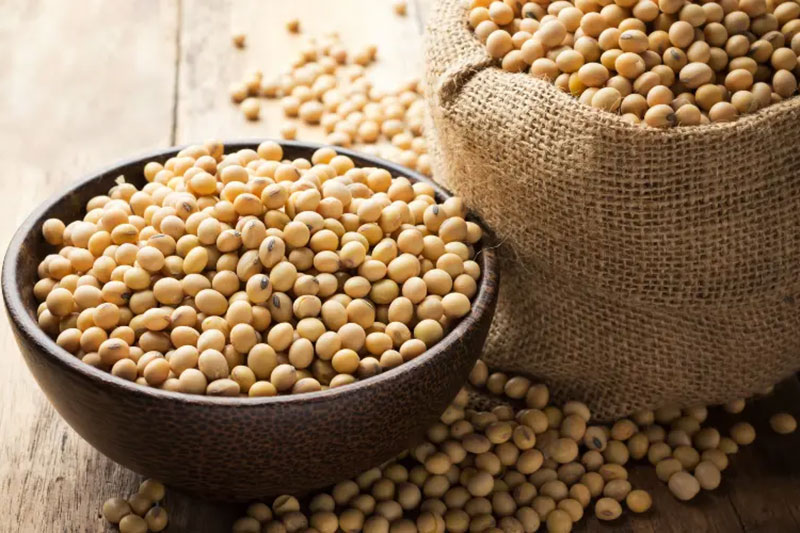 Non-GMO Là Gì? Vì Sao Đậu Nành Non-GMO Là Tiêu Chuẩn Vàng Của Sức Khỏe Bền Vững? 2 non gmo la gi vi sao dau nanh non gmo la tieu chuan vang cua suc khoe ben vung 01