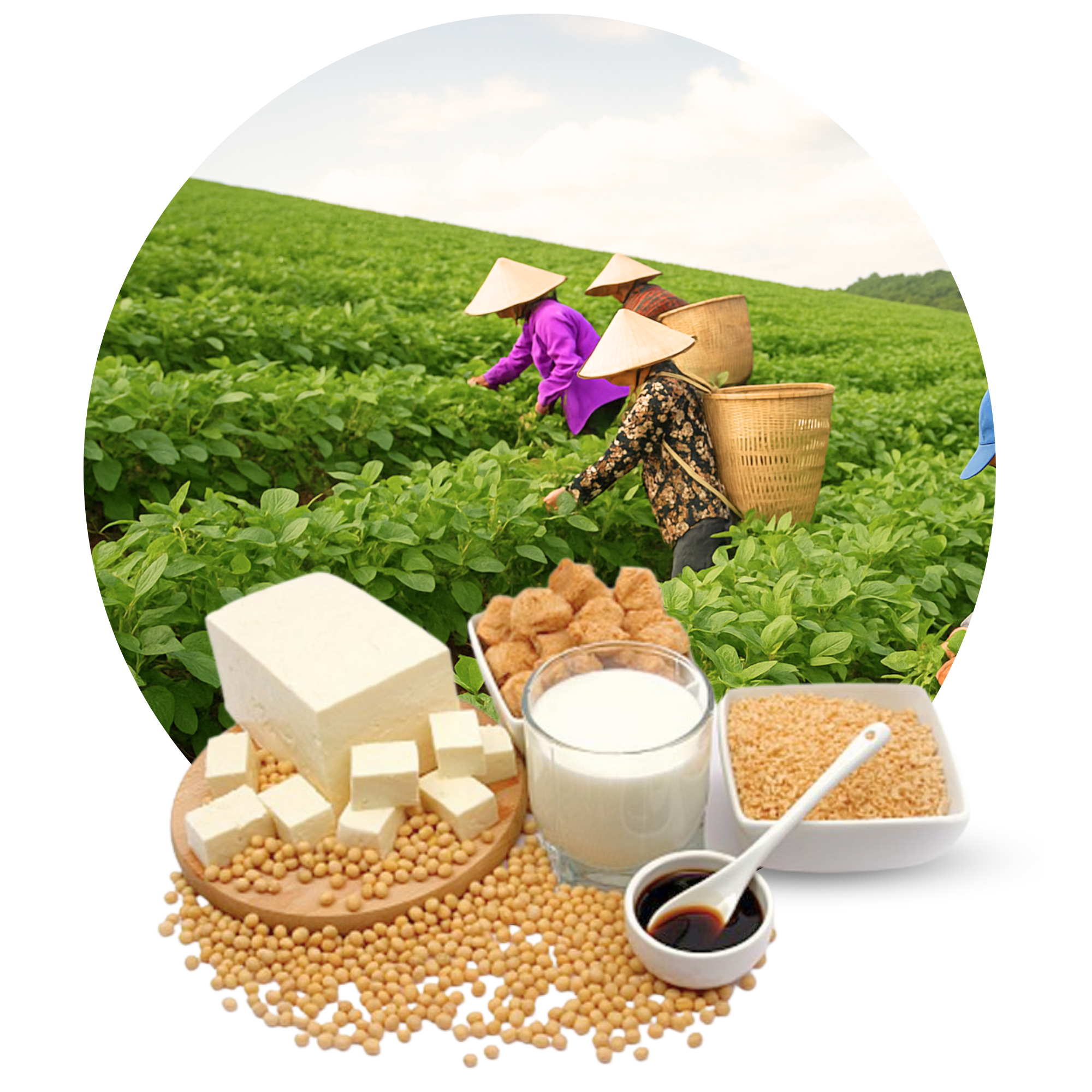 Mon qua tu hat lanh 1